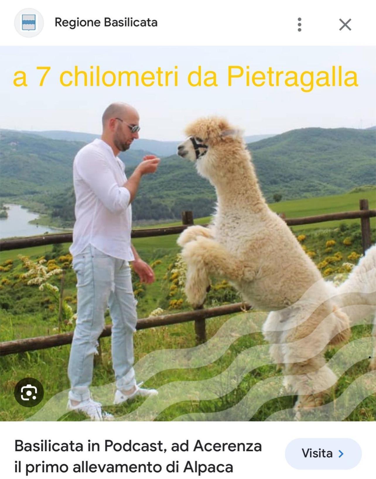 La Casa Dell'Artista Di Vittorio Vertone Pietragalla Exteriér fotografie